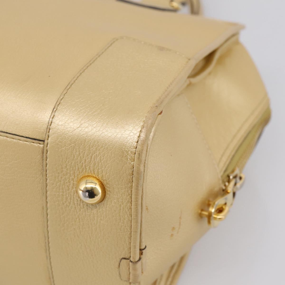 LOEWE Amazona 32 Hand Bag Leather Gold Auth 207798A