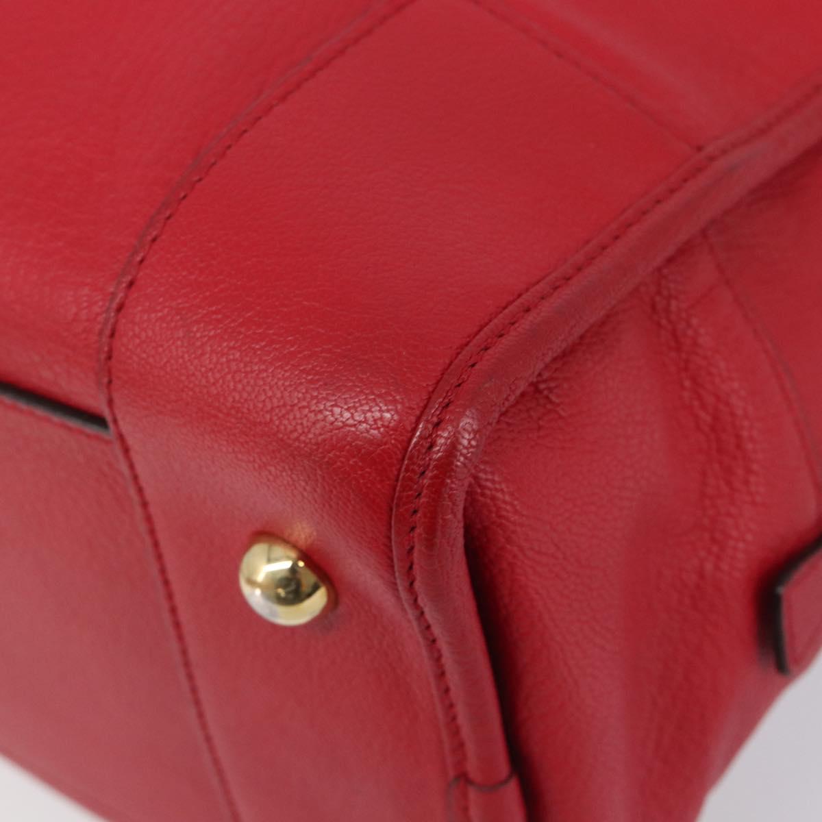 LOEWE Amazona 36 Hand Bag Leather Red Gold Auth 207843