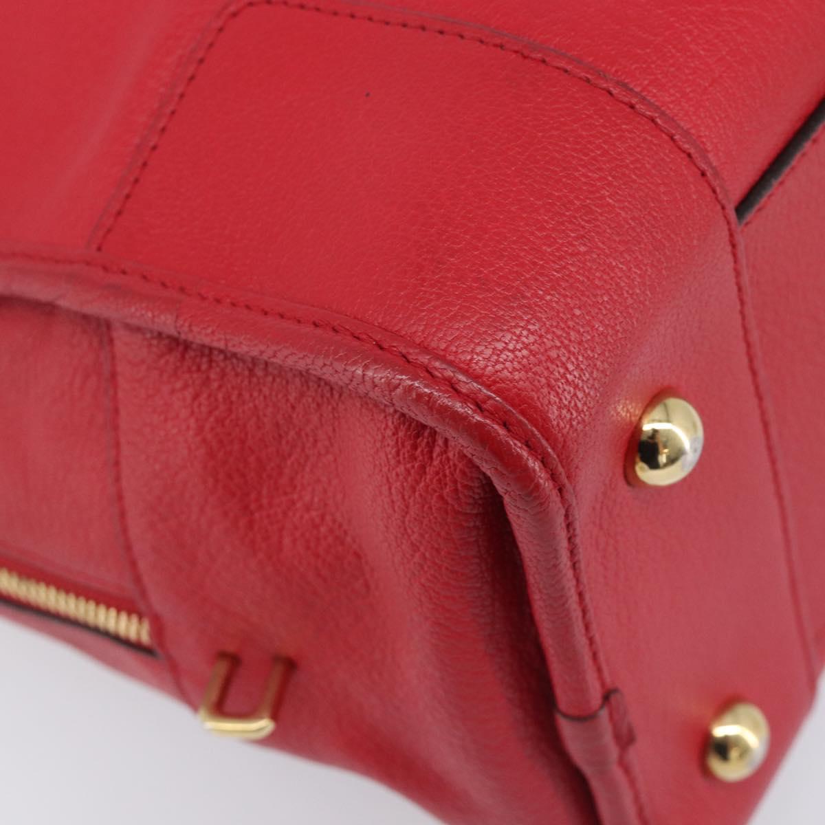 LOEWE Amazona 36 Hand Bag Leather Red Gold Auth 207843