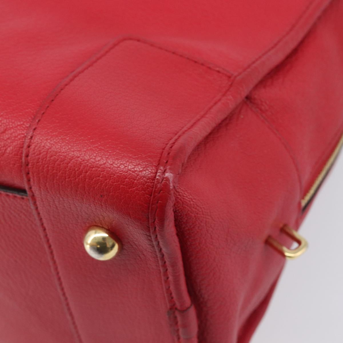 LOEWE Amazona 36 Hand Bag Leather Red Gold Auth 207843