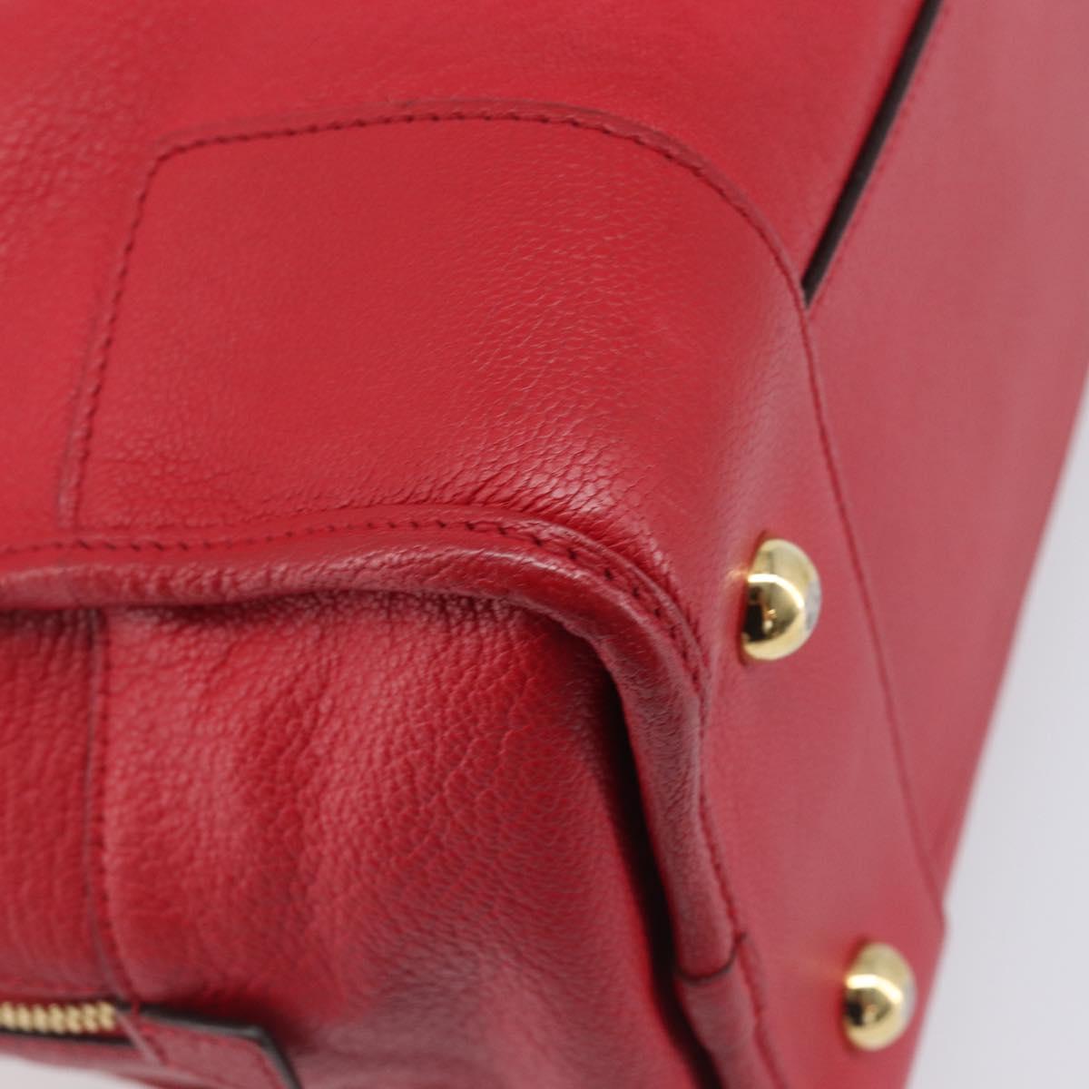 LOEWE Amazona 36 Hand Bag Leather Red Gold Auth 207843
