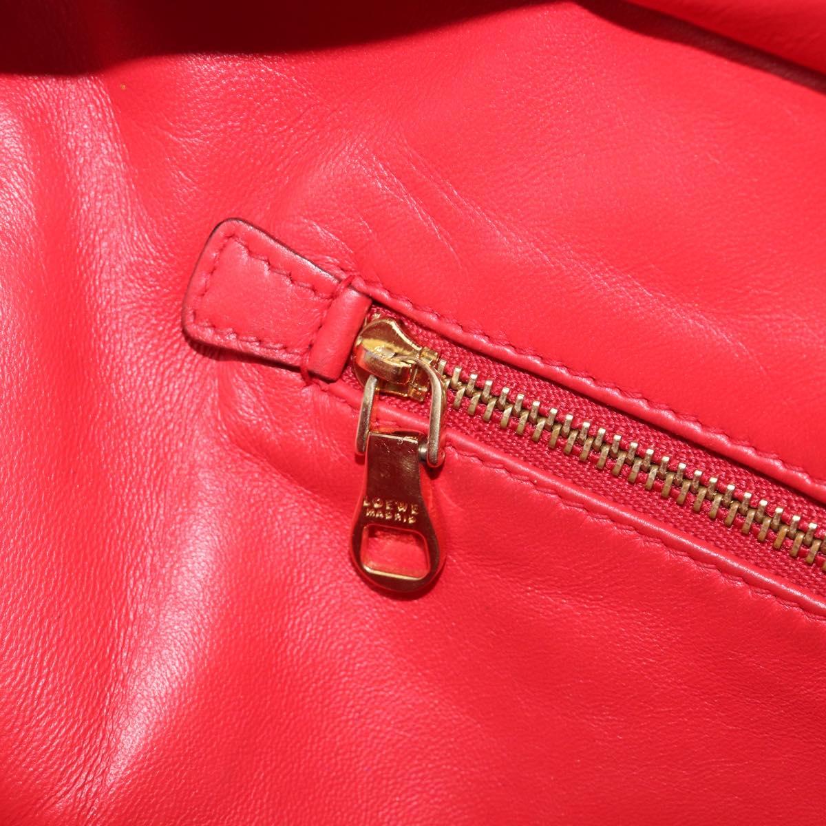 LOEWE Amazona 36 Hand Bag Leather Red Gold Auth 207843