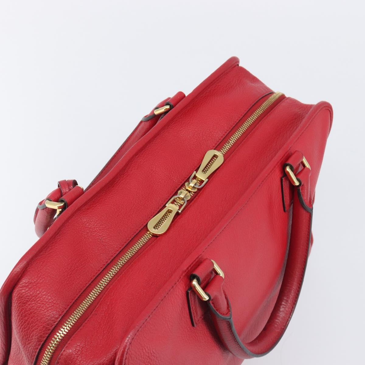 LOEWE Amazona 36 Hand Bag Leather Red Gold Auth 207843