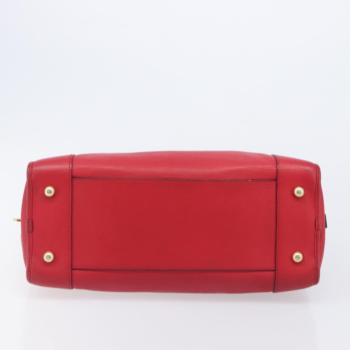 LOEWE Amazona 36 Hand Bag Leather Red Gold Auth 207843