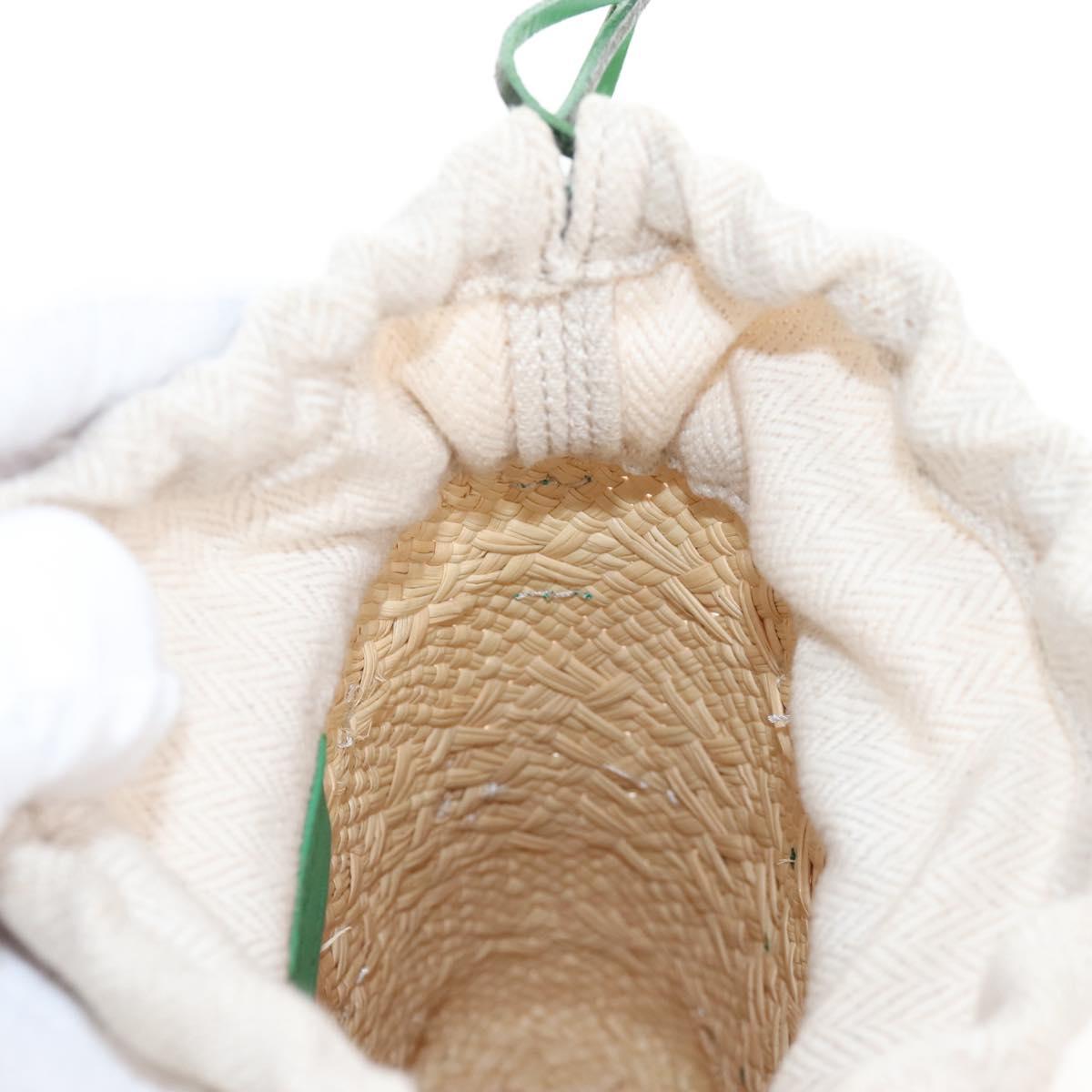 LOEWE Shoulder Bag Raffia Beige Green Auth 207914M