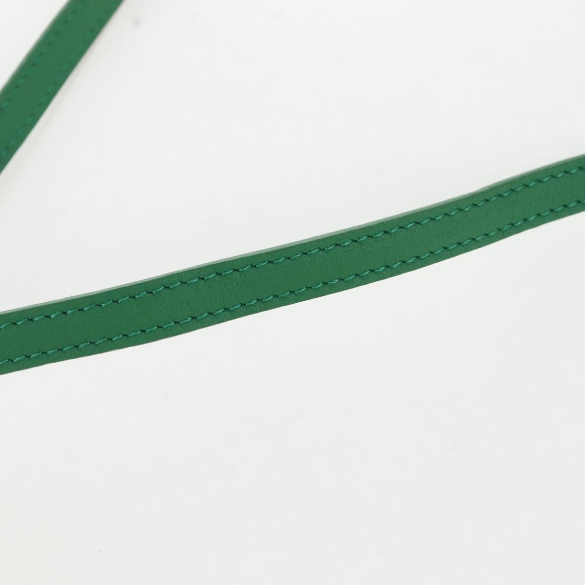 LOEWE Shoulder Bag Raffia Beige Green Auth 207914M