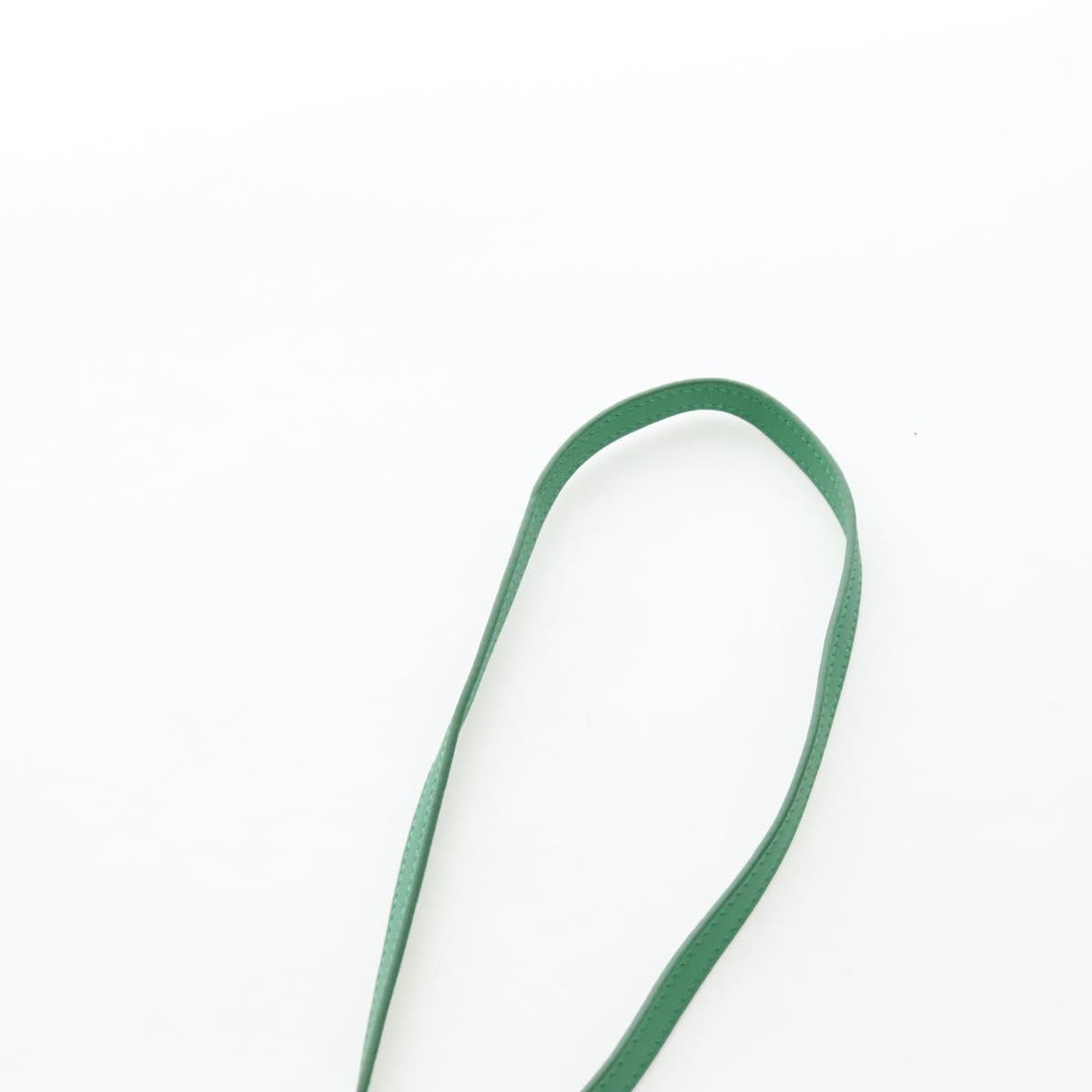 LOEWE Shoulder Bag Raffia Beige Green Auth 207914M
