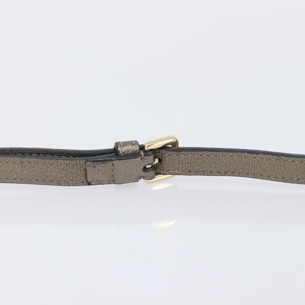 LOEWE Shoulder Bag Leather Gold Auth 208065
