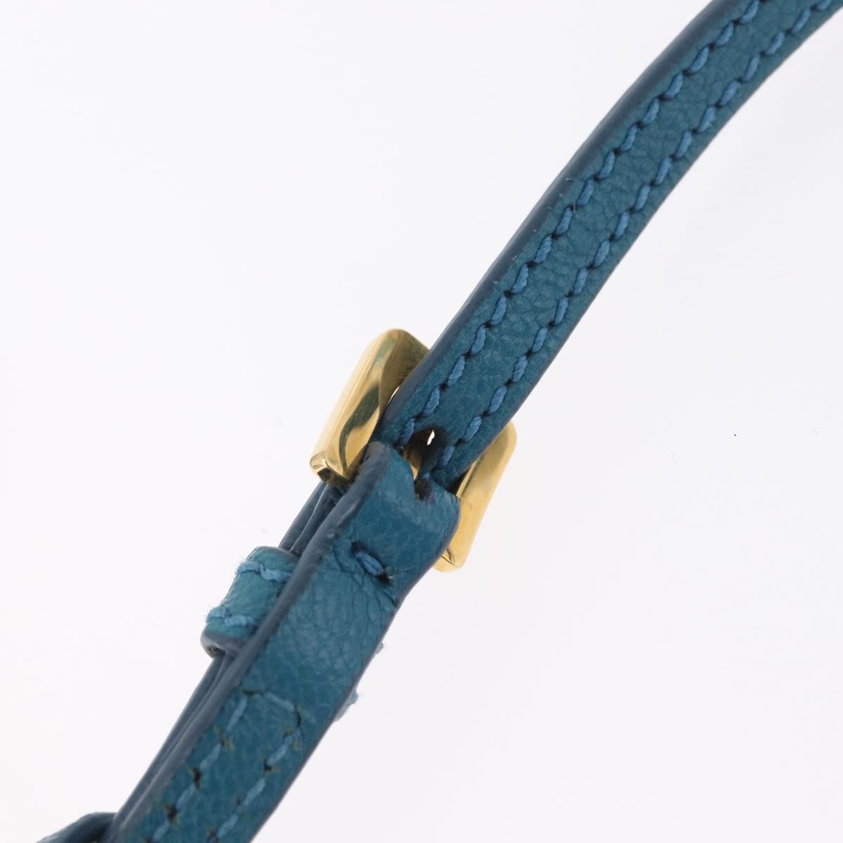 Miu Miu Madras Accessory Pouch Leather Light Blue Gold Auth 208282A