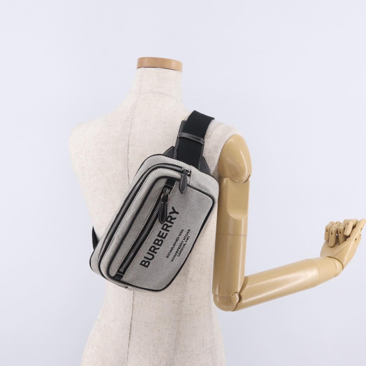 BURBERRY Body Bag Canvas Gray Silver Auth 208431A