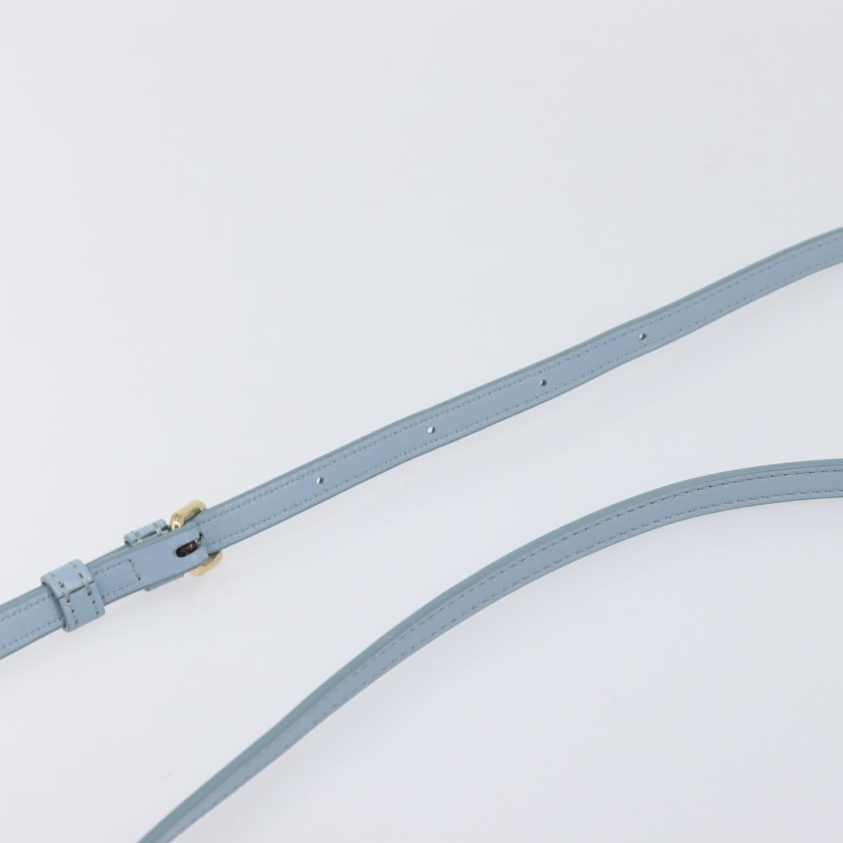 CELINE Triomphe Shoulder Bag Leather Light Blue Gold Auth 208602SAM