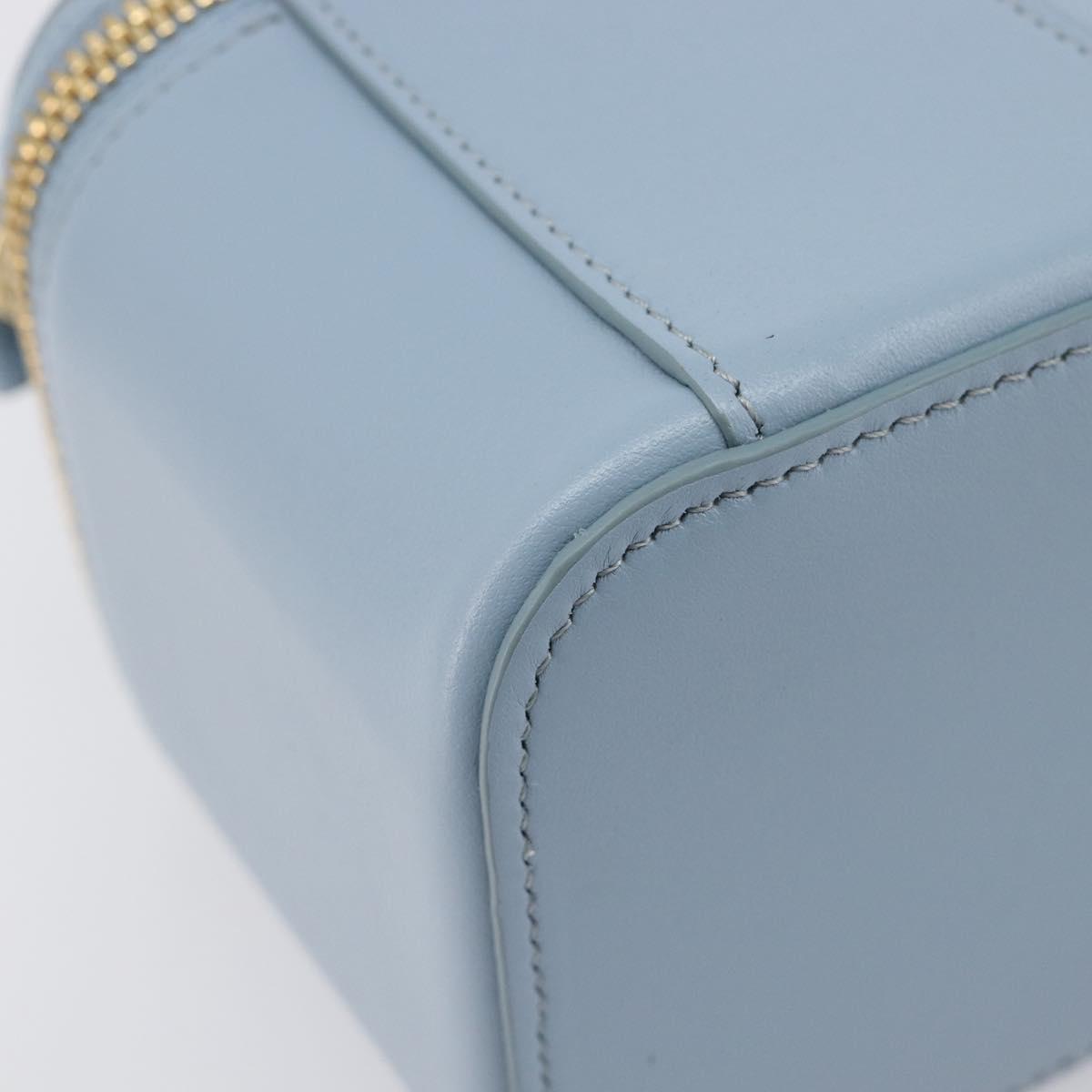 CELINE Triomphe Shoulder Bag Leather Light Blue Gold Auth 208602SAM