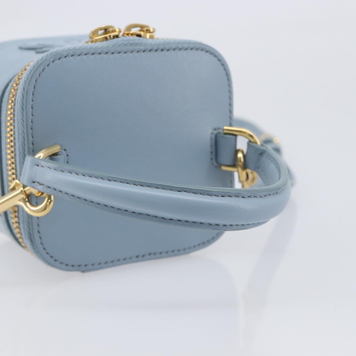 CELINE Triomphe Shoulder Bag Leather Light Blue Gold Auth 208602SAM