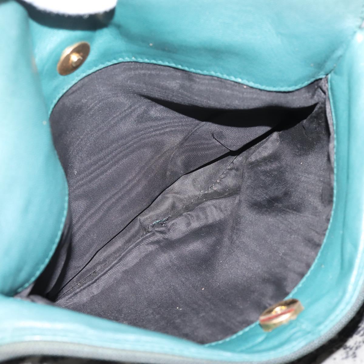 LOEWE Shoulder Bag Leather Green Gold Auth 208687