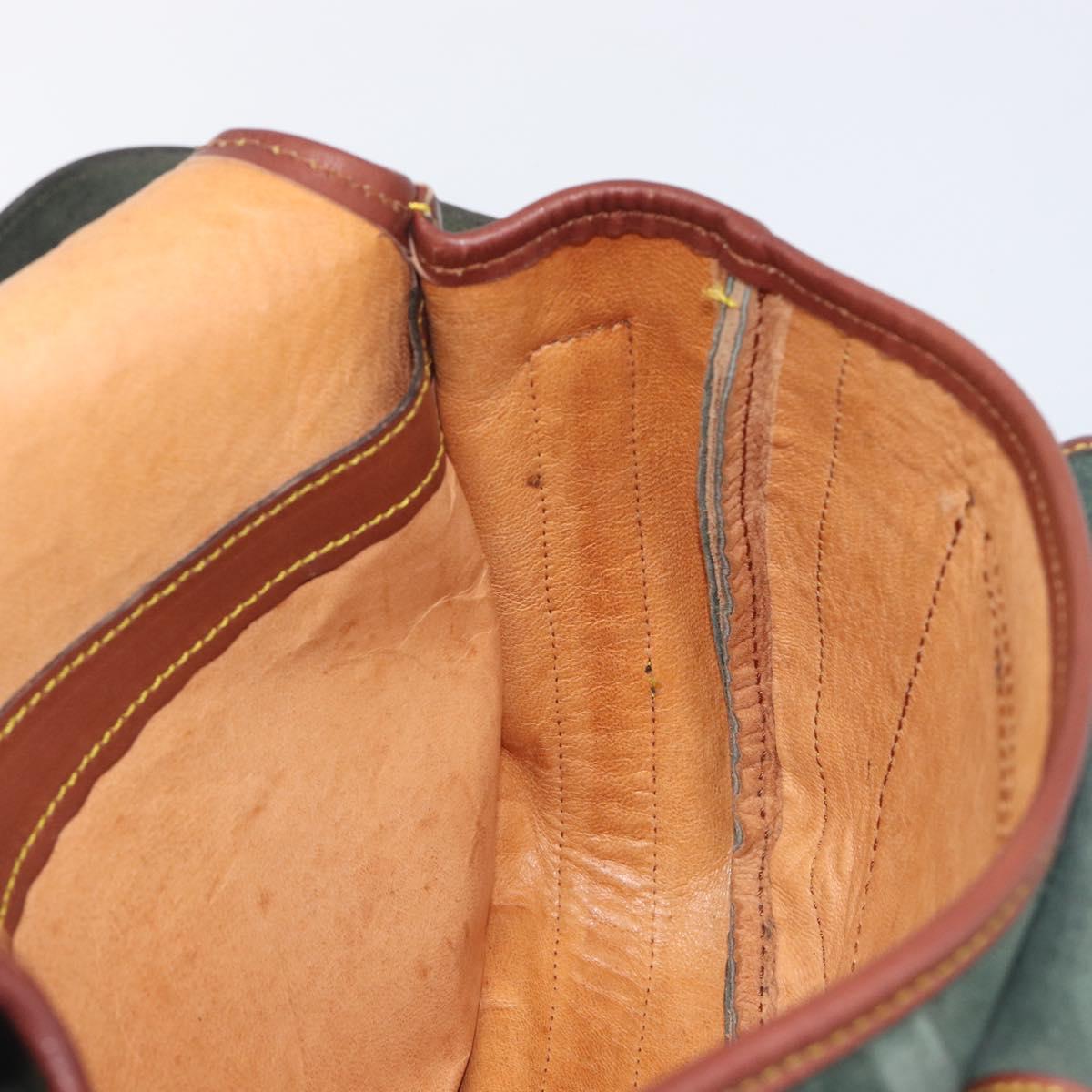 LOEWE Shoulder Bag Suede Green Gold Auth 208798A