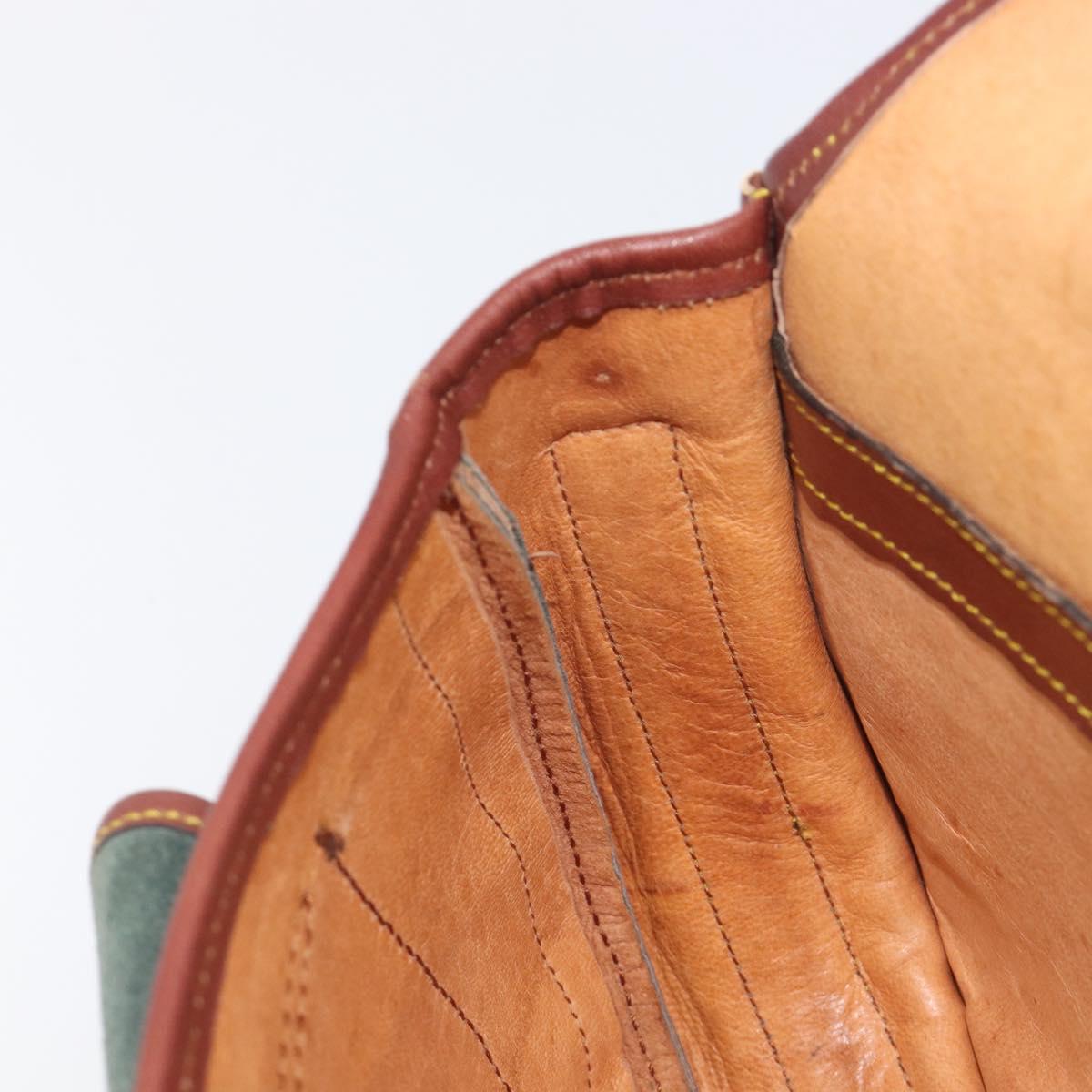 LOEWE Shoulder Bag Suede Green Gold Auth 208798A