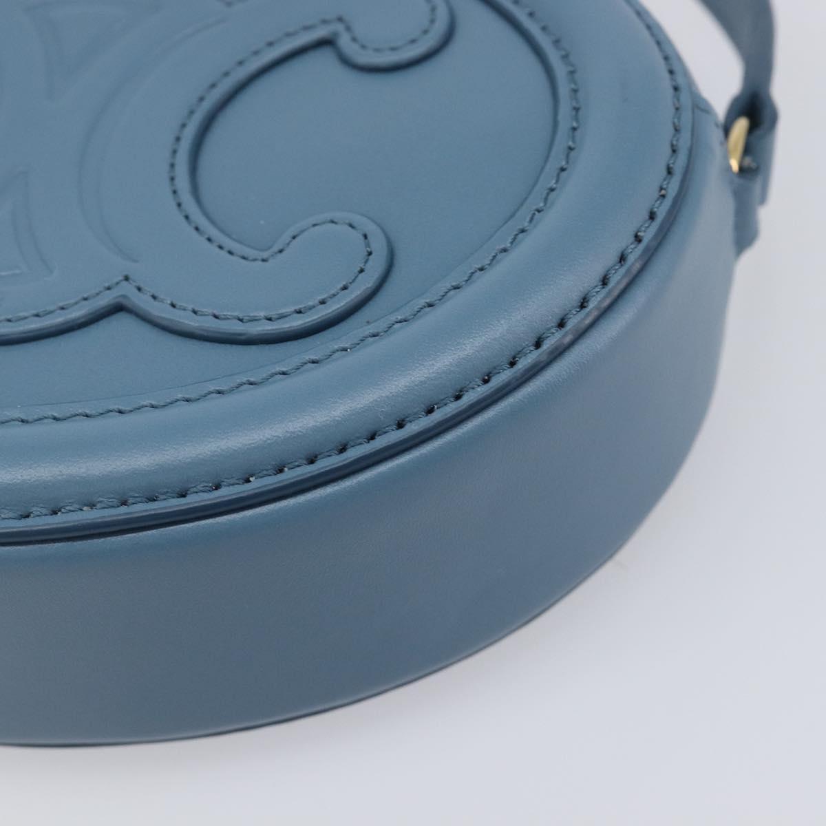 CELINE Triomphe Shoulder Bag Leather Light Blue Gold Tone Auth 209669M