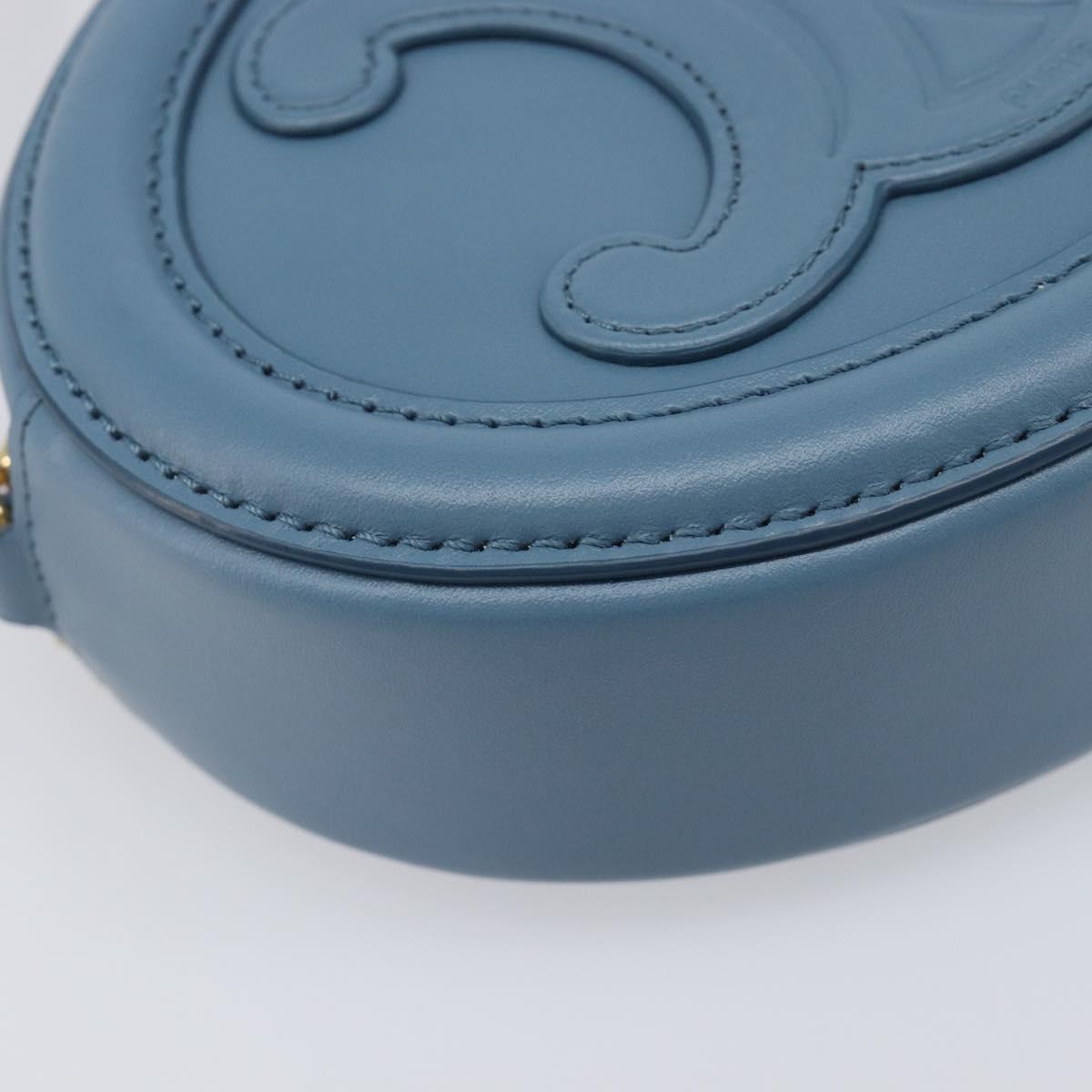 CELINE Triomphe Shoulder Bag Leather Light Blue Gold Tone Auth 209669M