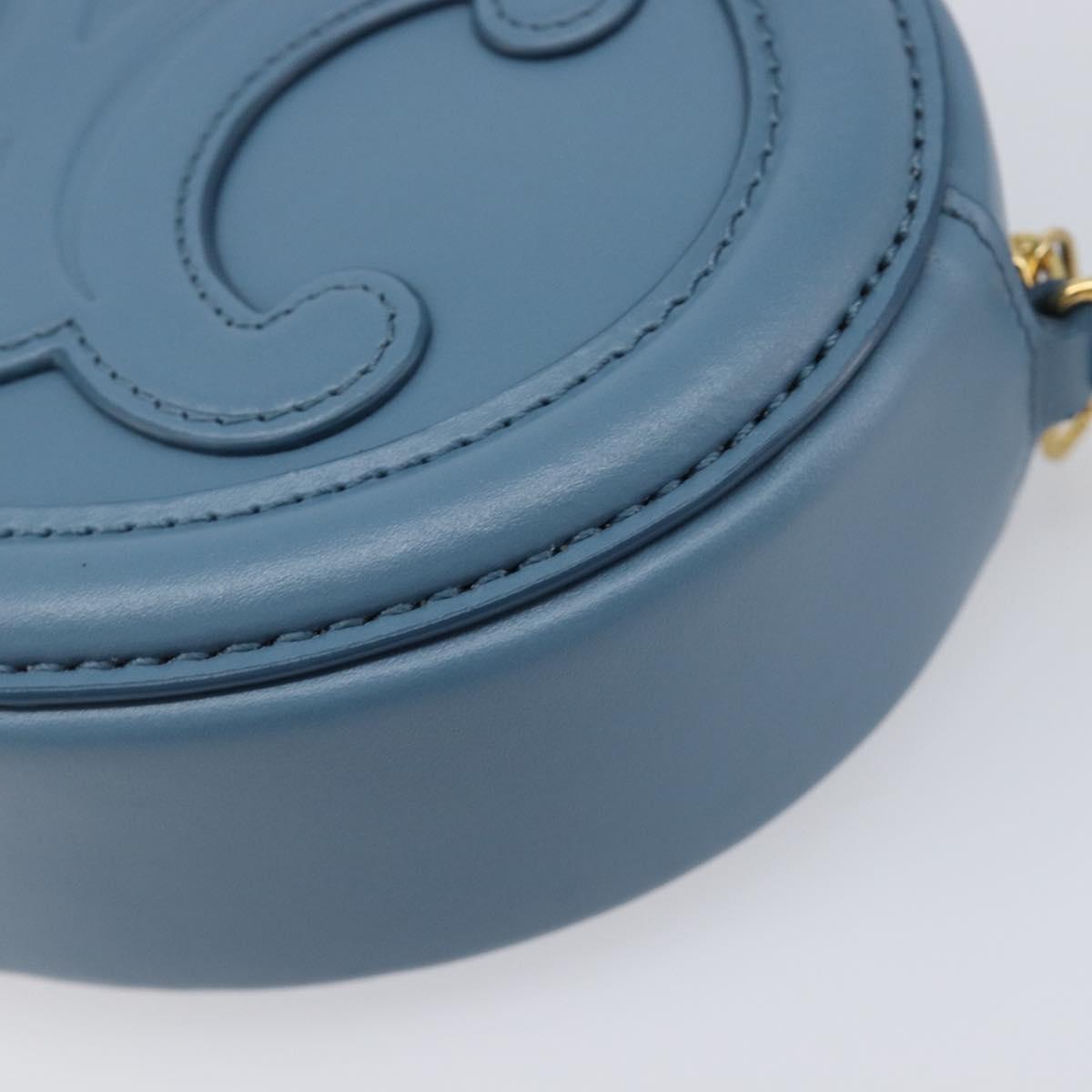 CELINE Triomphe Shoulder Bag Leather Light Blue Gold Tone Auth 209669M