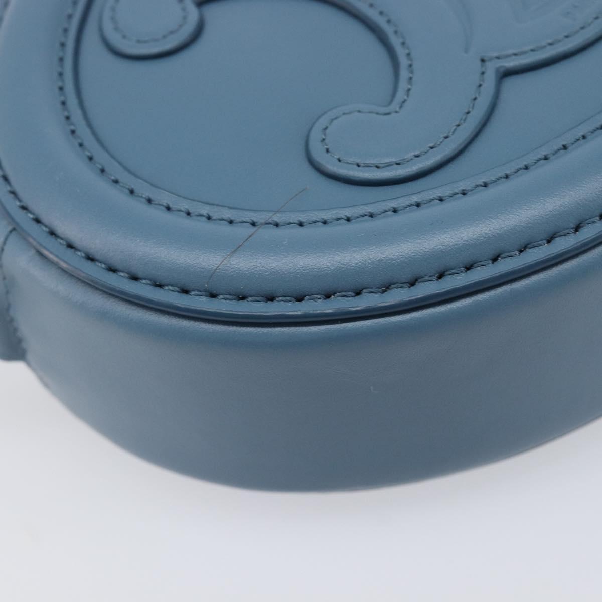 CELINE Triomphe Shoulder Bag Leather Light Blue Gold Tone Auth 209669M