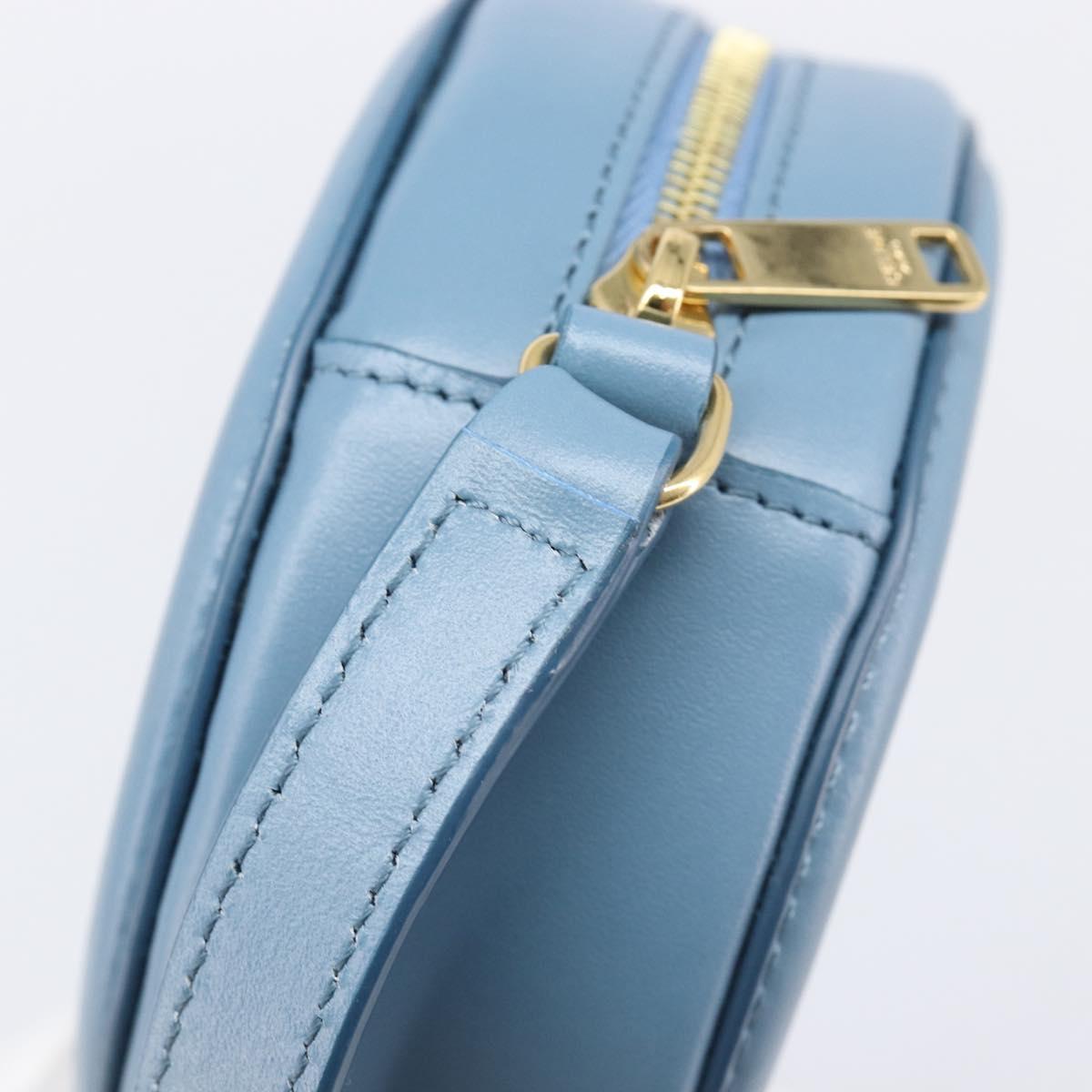 CELINE Triomphe Shoulder Bag Leather Light Blue Gold Tone Auth 209669M