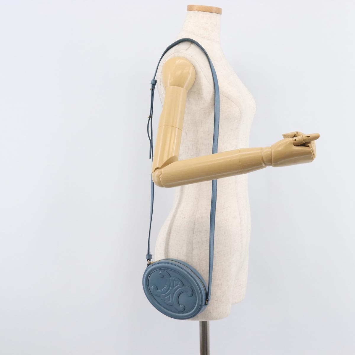 CELINE Triomphe Shoulder Bag Leather Light Blue Gold Tone Auth 209669M