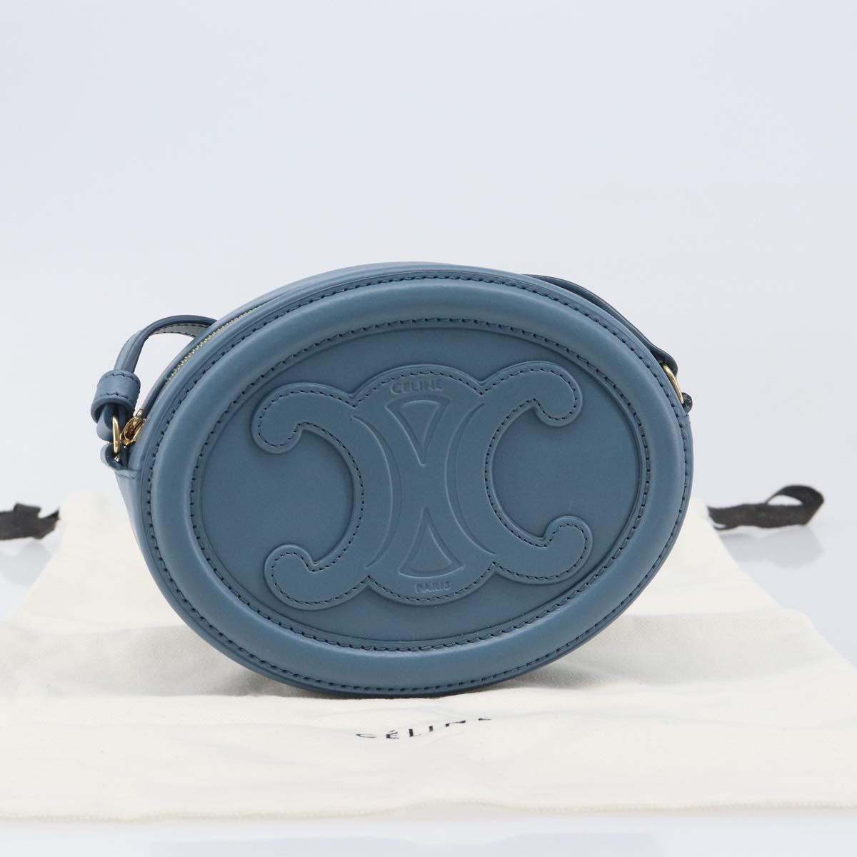 CELINE Triomphe Shoulder Bag Leather Light Blue Gold Tone Auth 209669M
