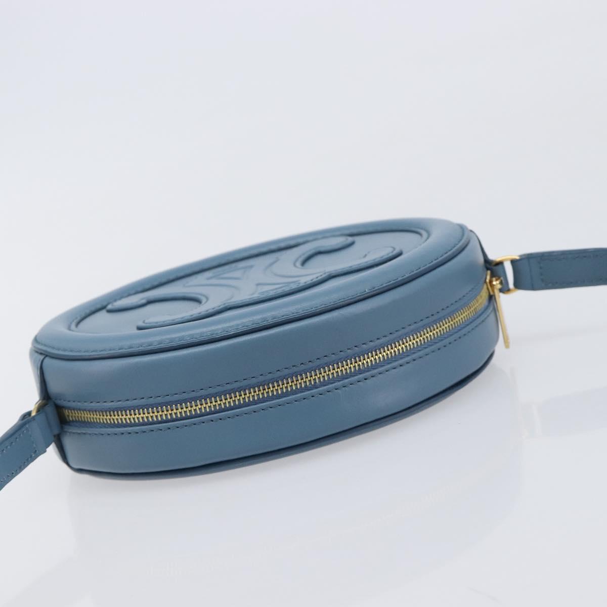 CELINE Triomphe Shoulder Bag Leather Light Blue Gold Tone Auth 209669M
