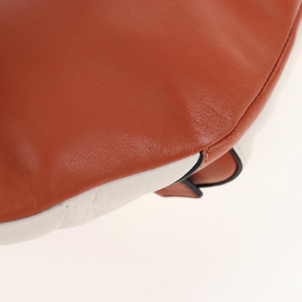 Coach Body Bag Leather Brown White Auth 209957A