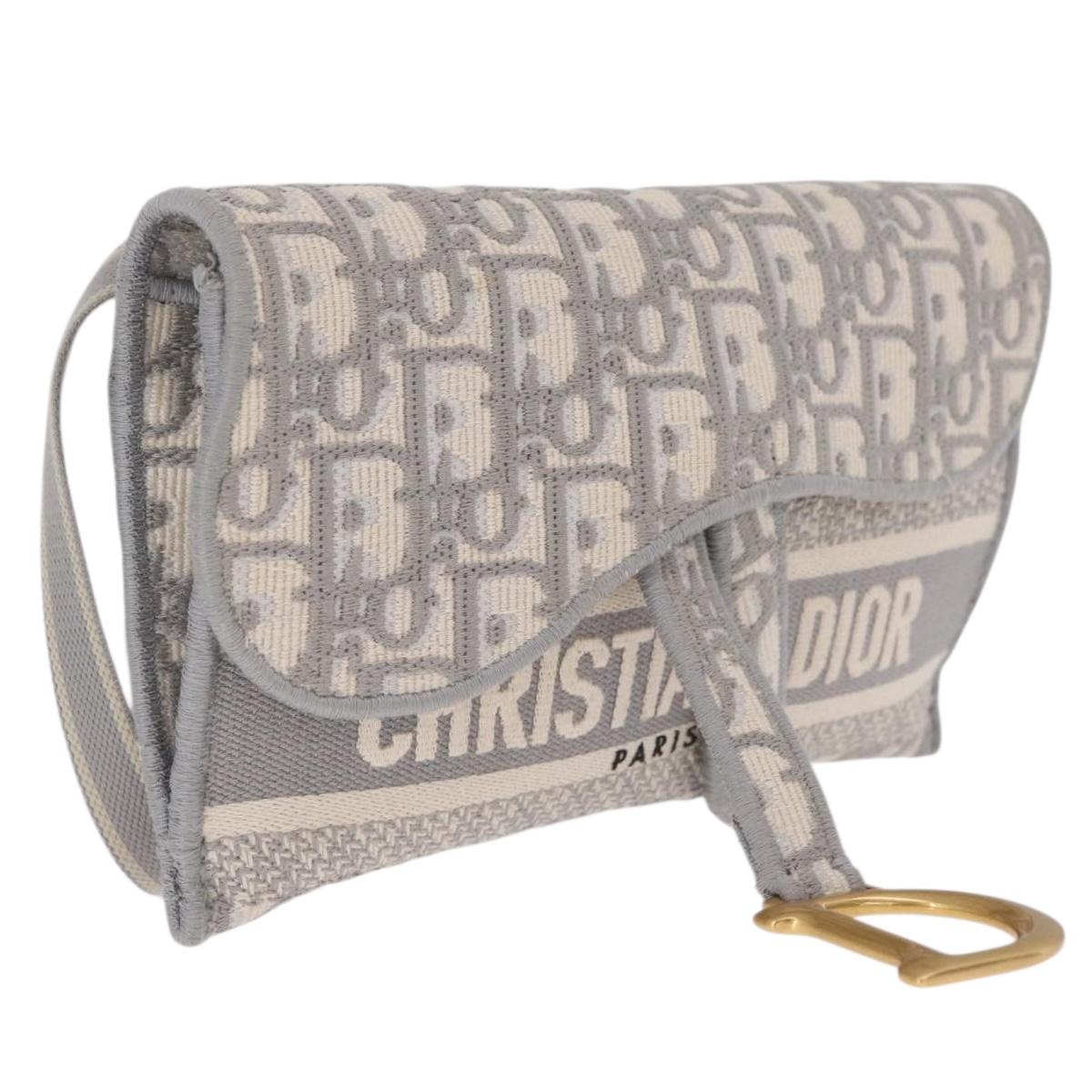 Christian Dior Trotter Canvas saddle Body Bag Gray Gold Tone Auth 211556V