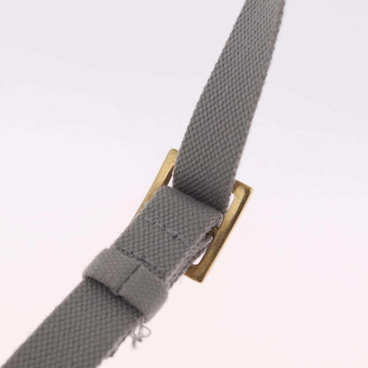 Christian Dior Trotter Canvas saddle Body Bag Gray Gold Tone Auth 211556V