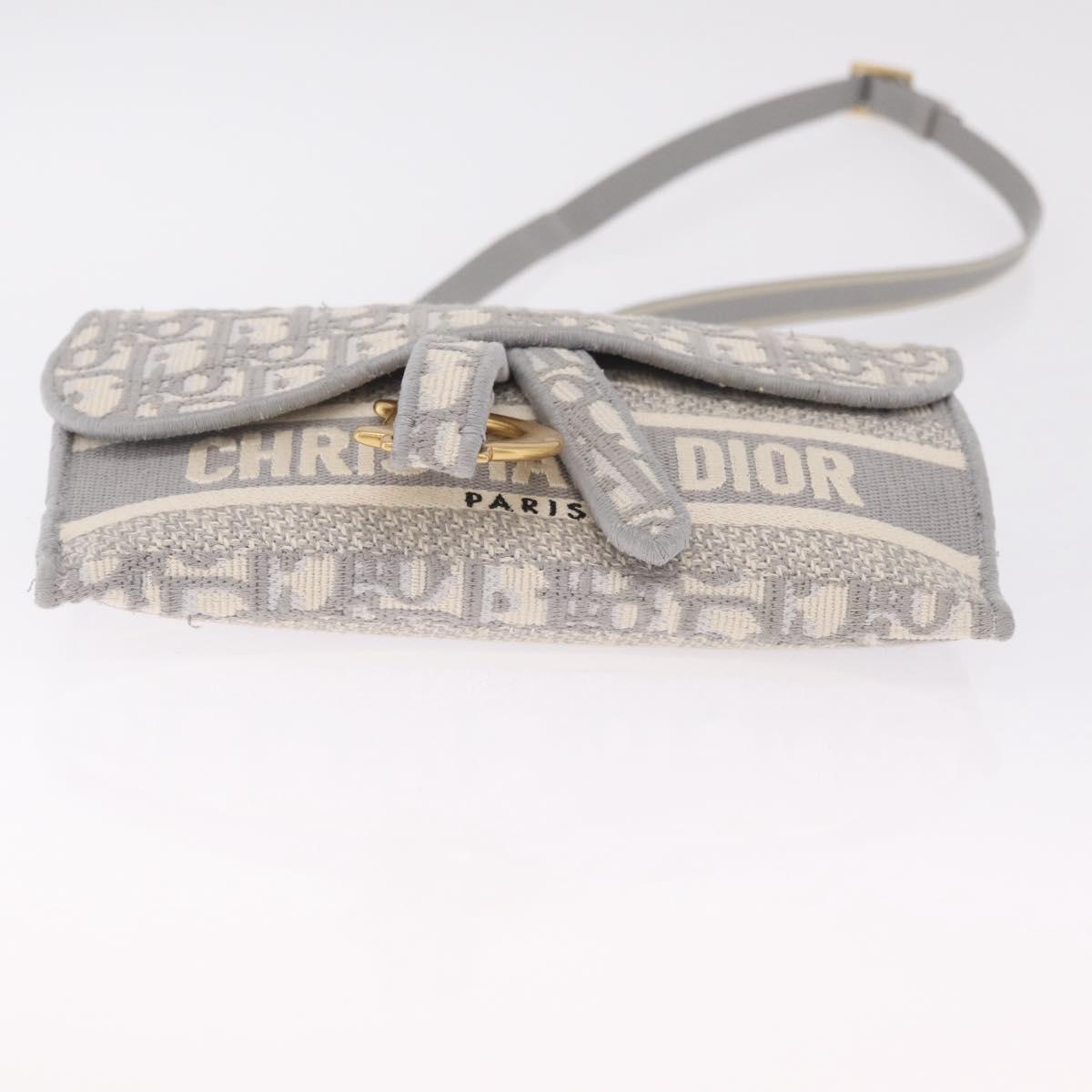 Christian Dior Trotter Canvas saddle Body Bag Gray Gold Tone Auth 211556V