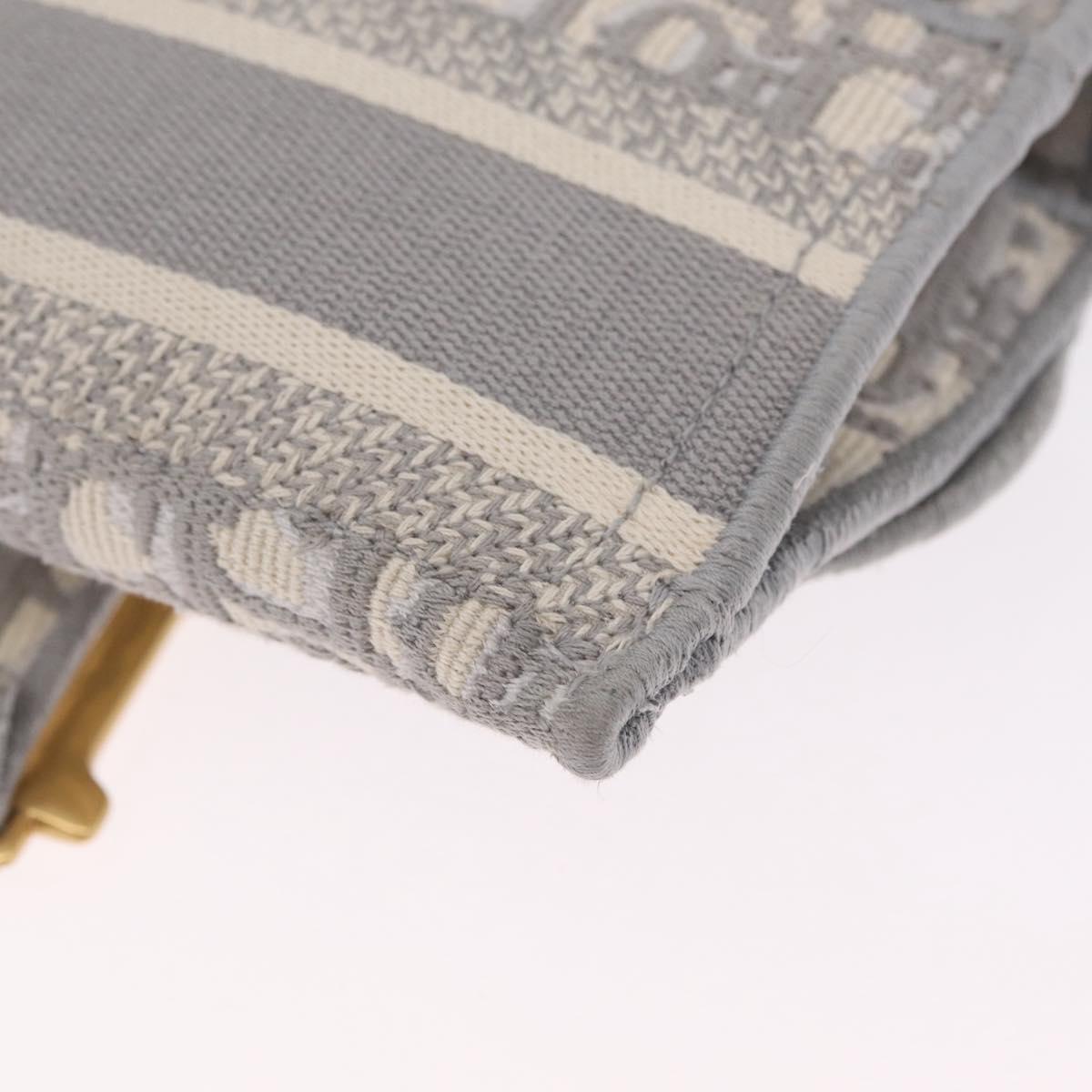 Christian Dior Trotter Canvas saddle Body Bag Gray Gold Tone Auth 211556V