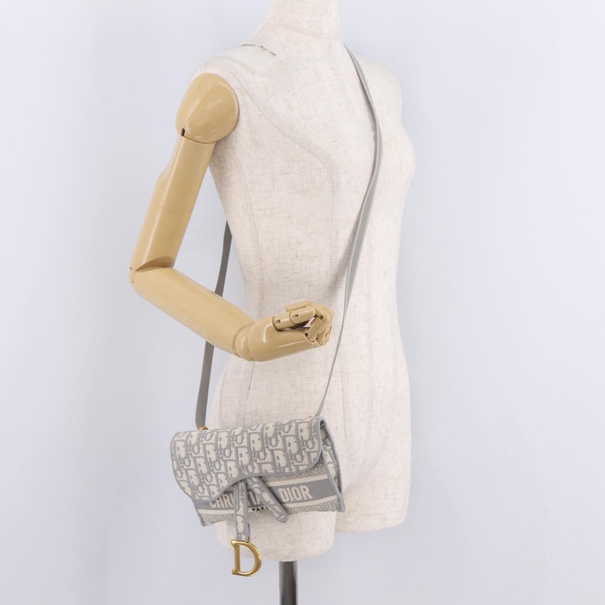 Christian Dior Trotter Canvas saddle Body Bag Gray Gold Tone Auth 211556V