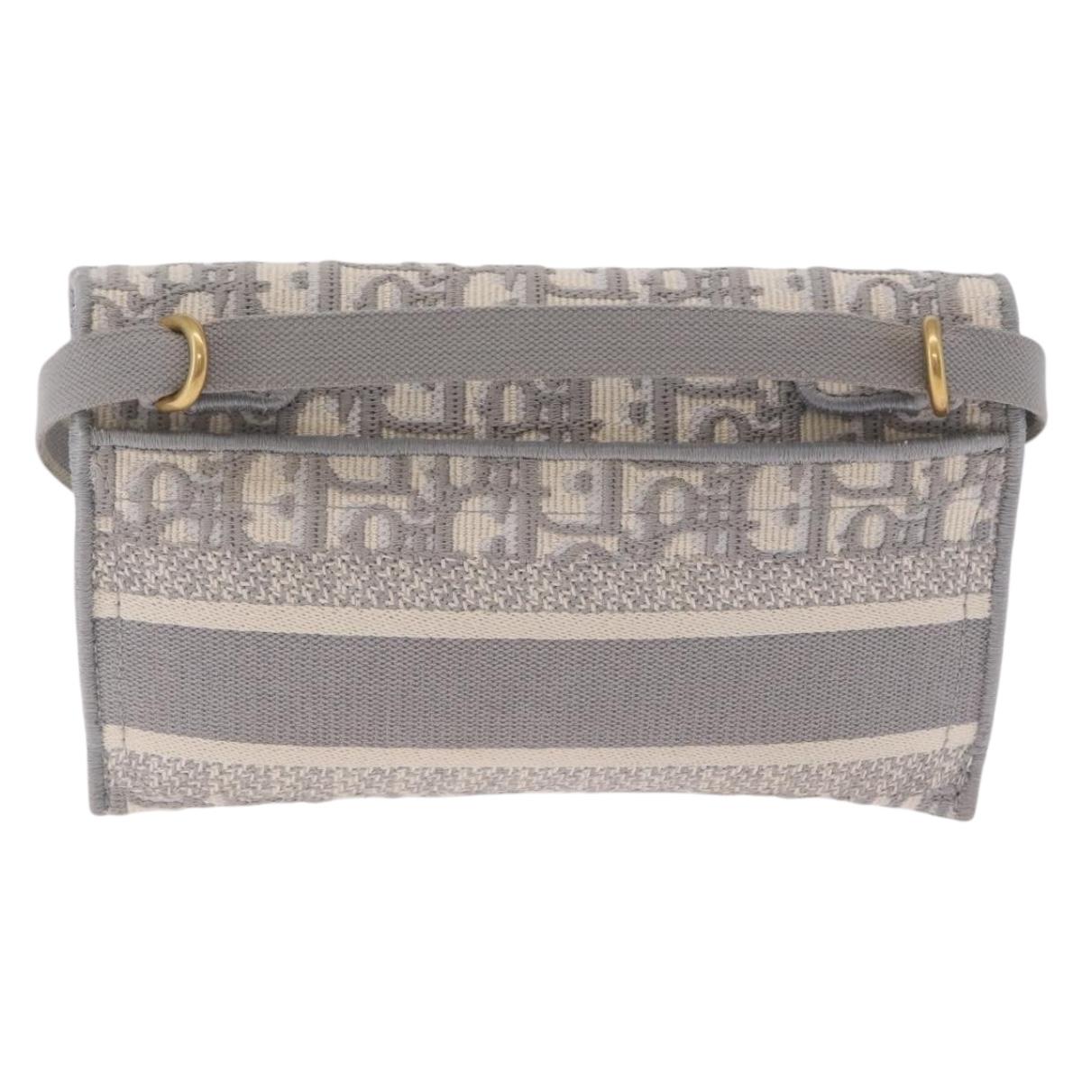 Christian Dior Trotter Canvas saddle Body Bag Gray Gold Tone Auth 211556V
