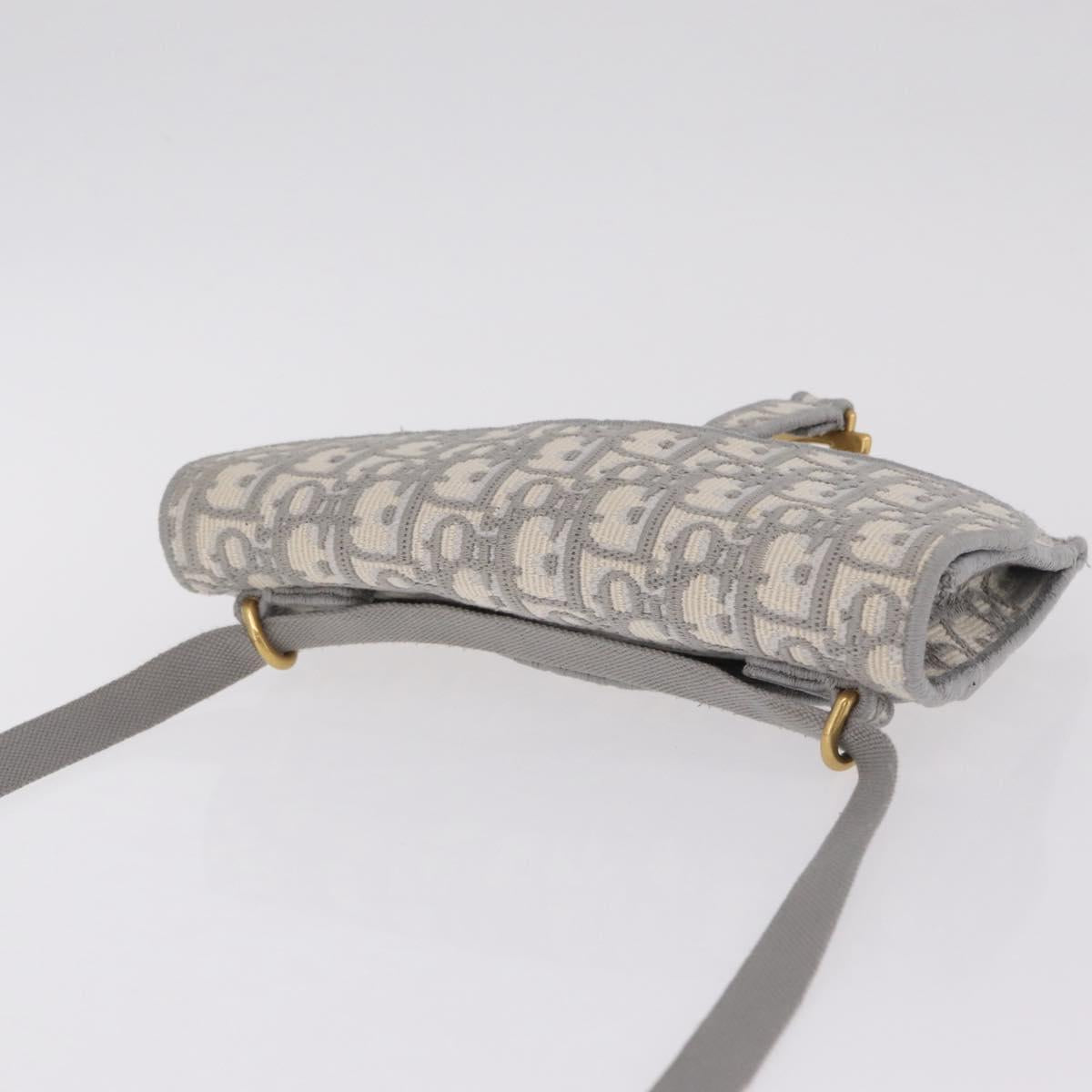 Christian Dior Trotter Canvas saddle Body Bag Gray Gold Tone Auth 211556V