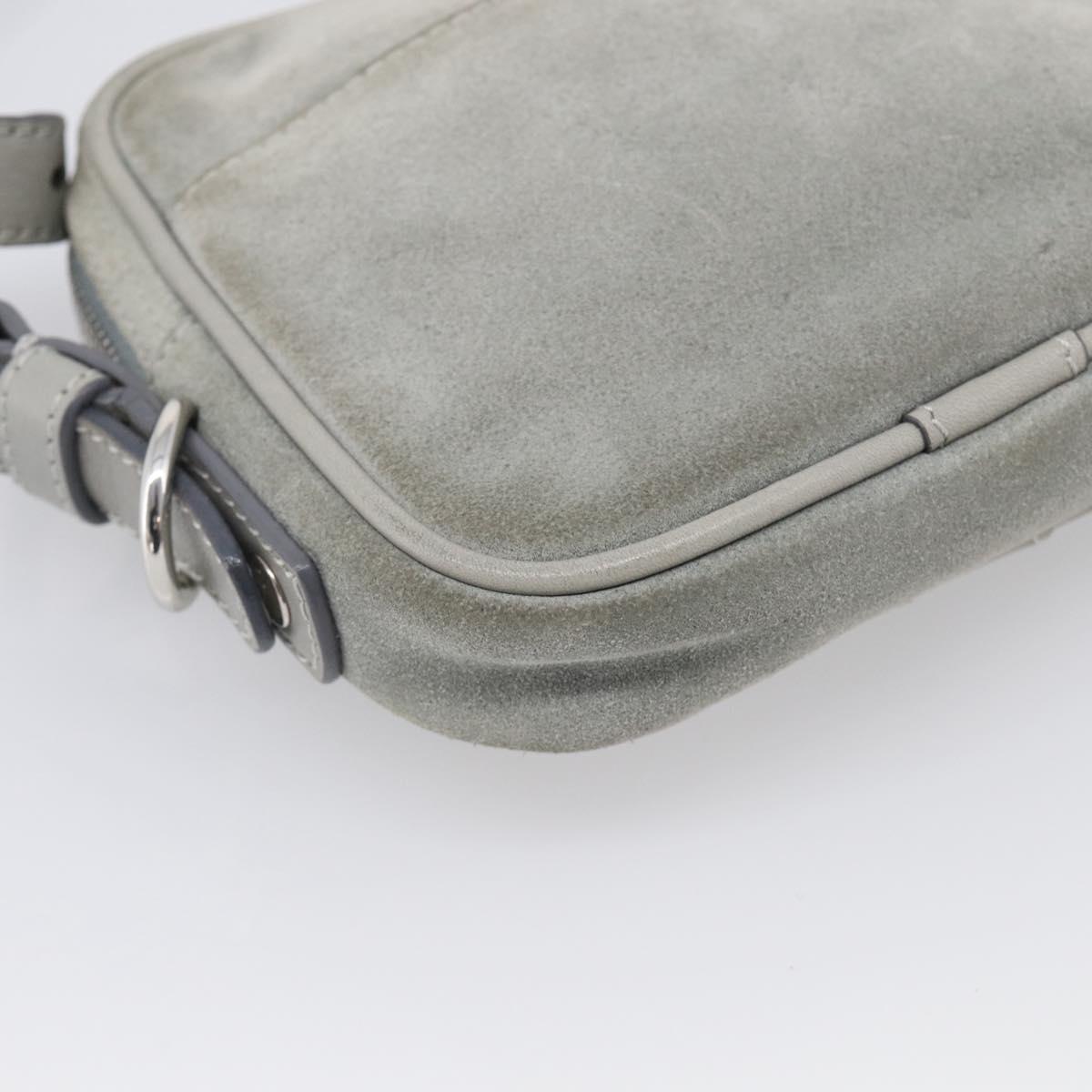 LOEWE Bijoux Shoulder Bag Suede Gray Silver Auth 212023