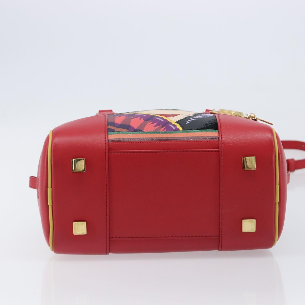 LOEWE × Ghibli Howl's Amazon 28 The Witch Of The Wasteland 2way Auth 212446SM