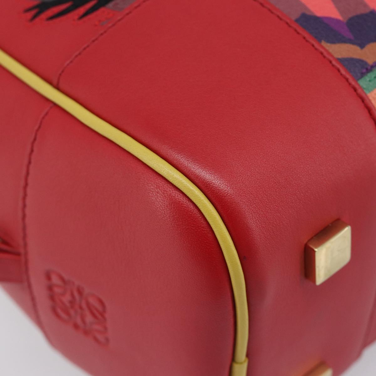 LOEWE × Ghibli Howl's Amazon 28 The Witch Of The Wasteland 2way Auth 212446SM