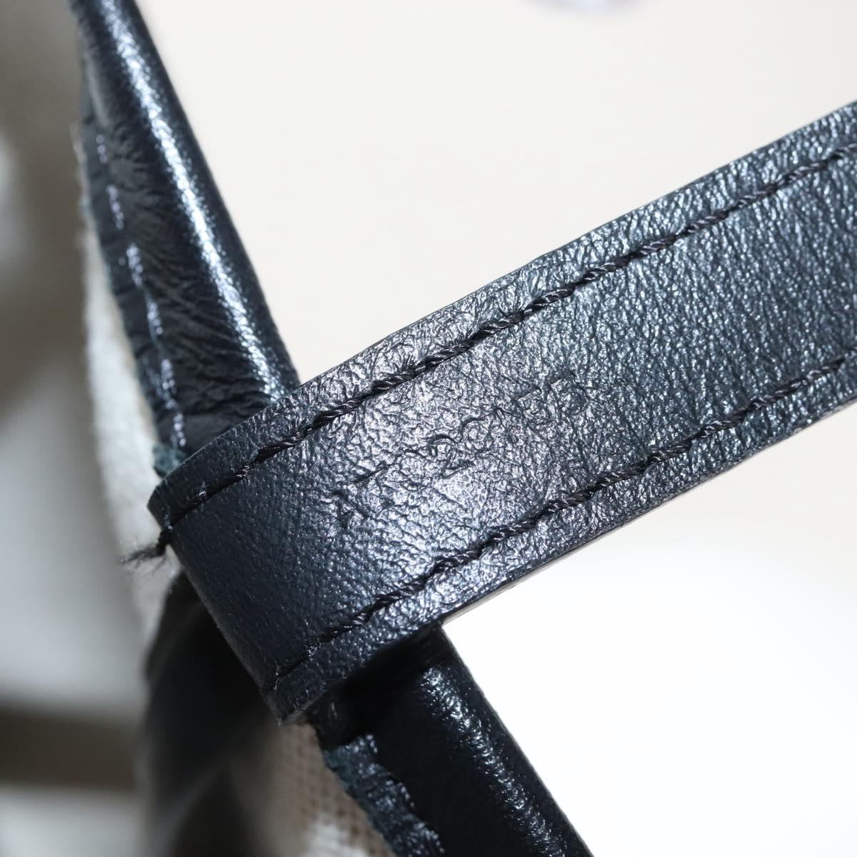 Goyard Herringbone Belcious PM Tote Bag PVC Black Auth 212604V