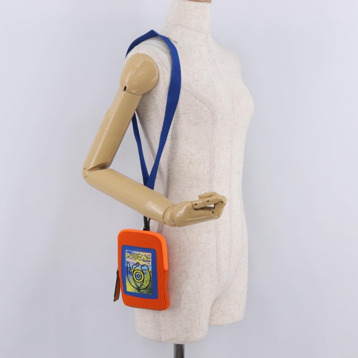 LOEWE Irohebe Nature Neck Pouch Shoulder Bag Canvas Blue Silver Auth 212977M