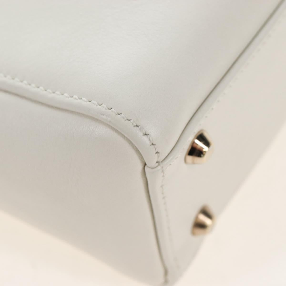 Christian Dior Lady Dior Dioramar Bag Calf Skin 2way White Gold Auth 213042M