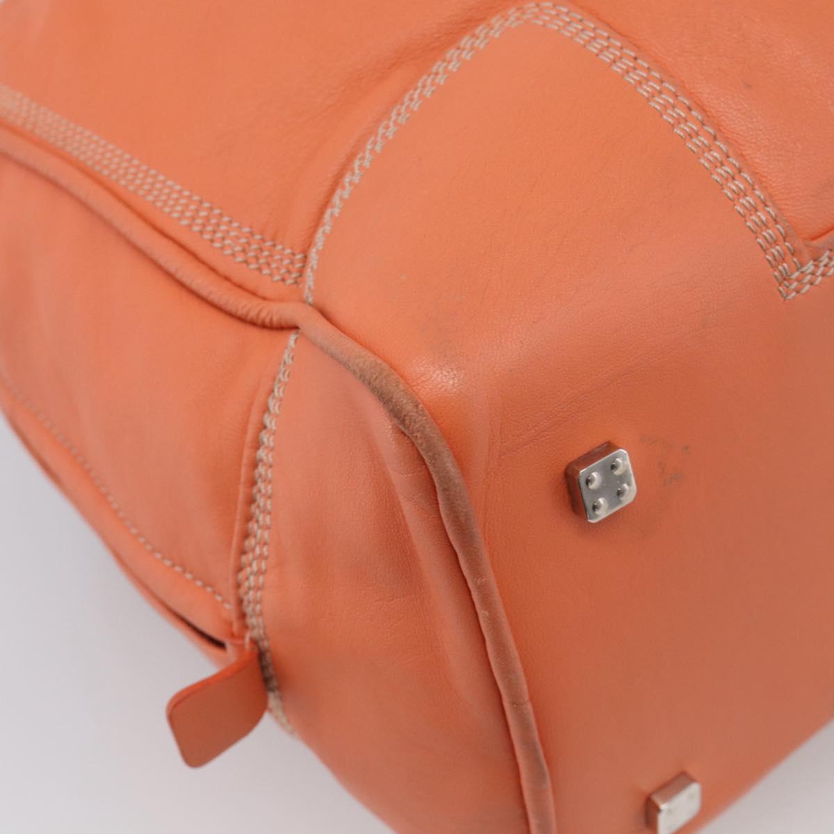LOEWE Amazona 36 Hand Bag Leather Orange Silver Auth 214659A