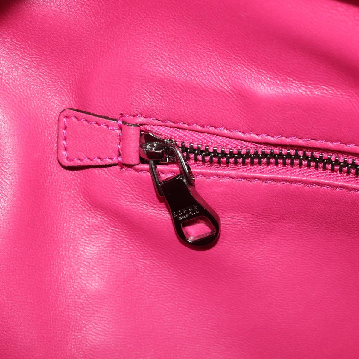 LOEWE Amazona 36 Hand Bag Leather Pink Silver Auth 215397A