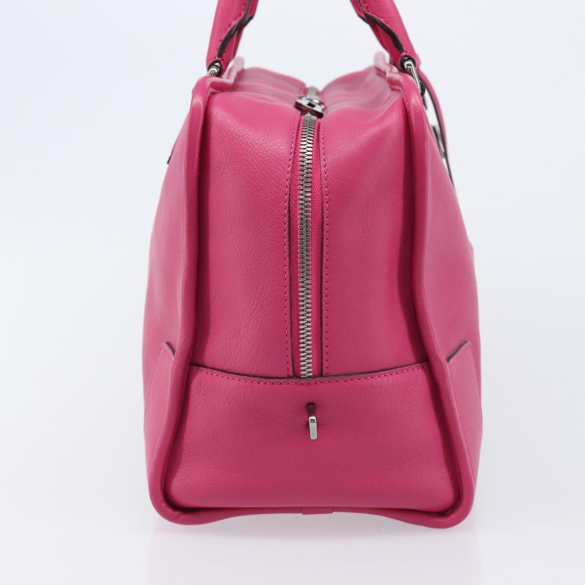 LOEWE Amazona 36 Hand Bag Leather Pink Silver Auth 215397A