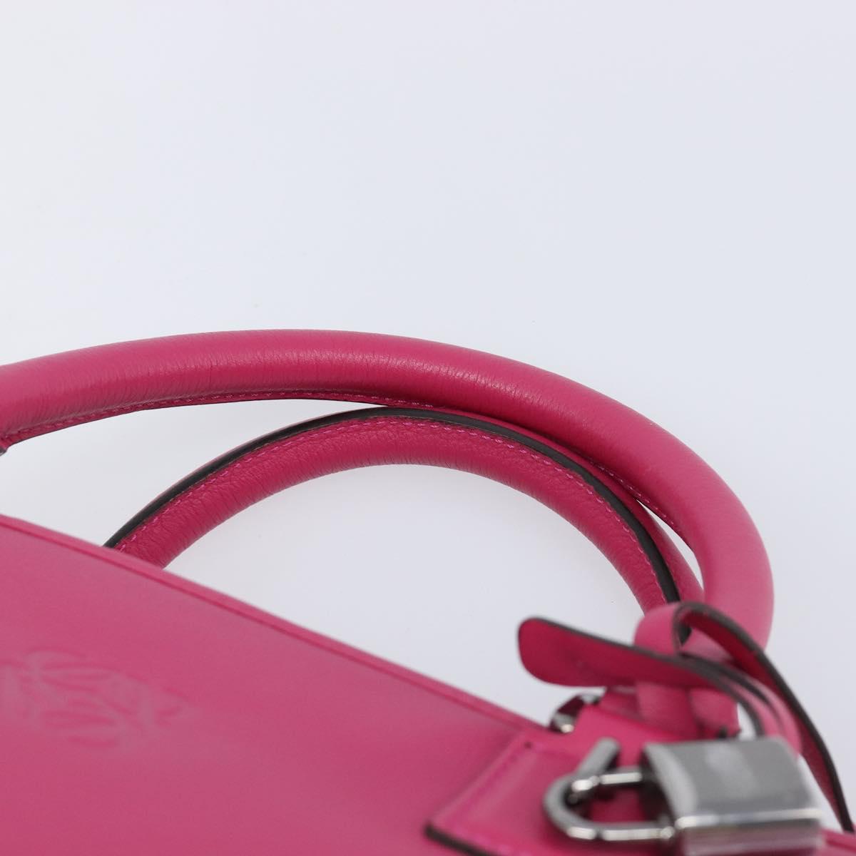 LOEWE Amazona 36 Hand Bag Leather Pink Silver Auth 215397A