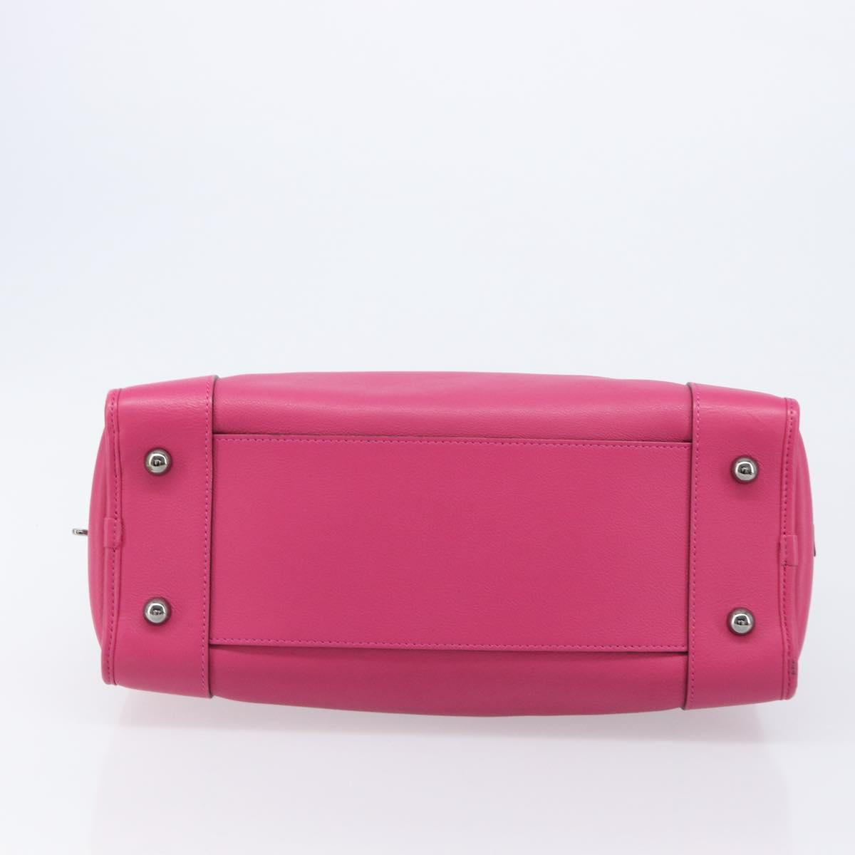 LOEWE Amazona 36 Hand Bag Leather Pink Silver Auth 215397A