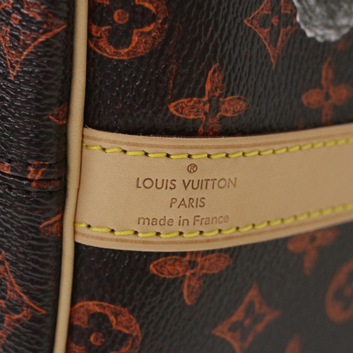 LOUIS VUITTON Catgram Speedy Bandouliere 30 Hand Bag Brown M44401 LV Auth 56154SM