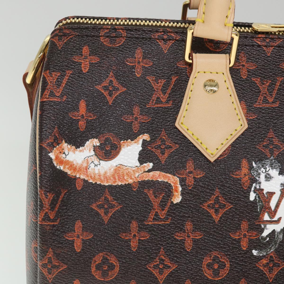 LOUIS VUITTON Catgram Speedy Bandouliere 30 Hand Bag Brown M44401 LV Auth 56154SM
