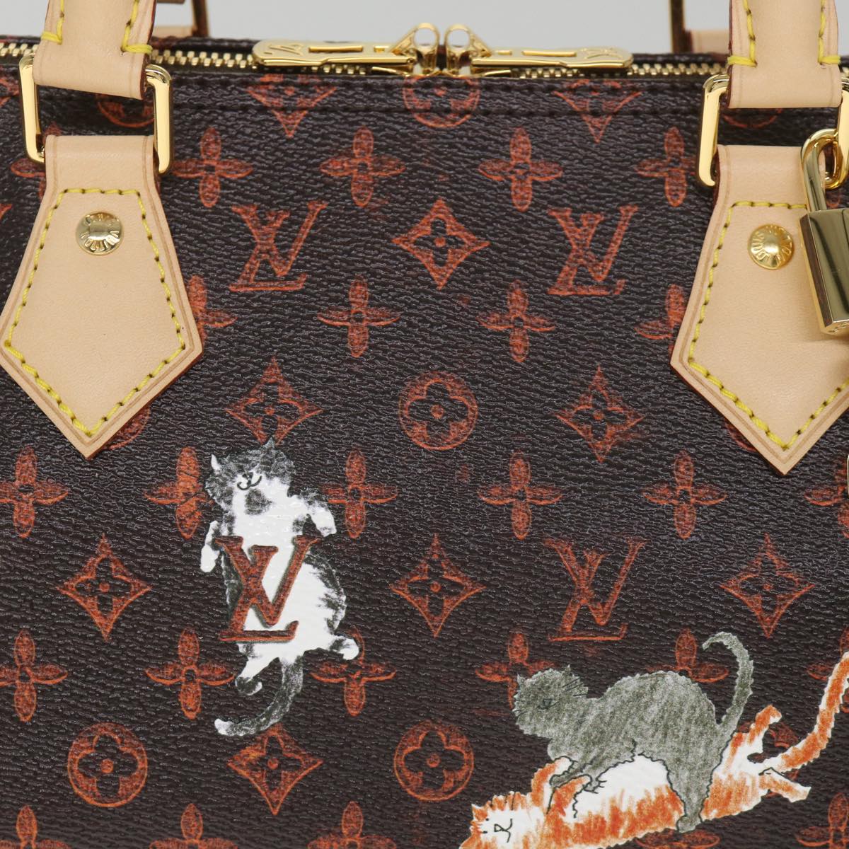 LOUIS VUITTON Catgram Speedy Bandouliere 30 Hand Bag Brown M44401 LV Auth 56154SM